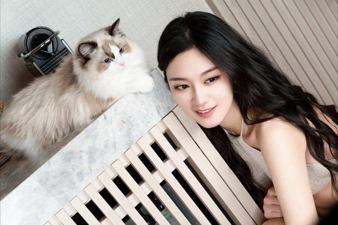 安徽省5年来新增94家华侨国际文化交流基地